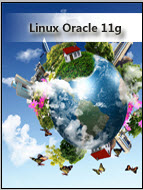 Linux Oracle 11g