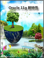 Oracle 11g 