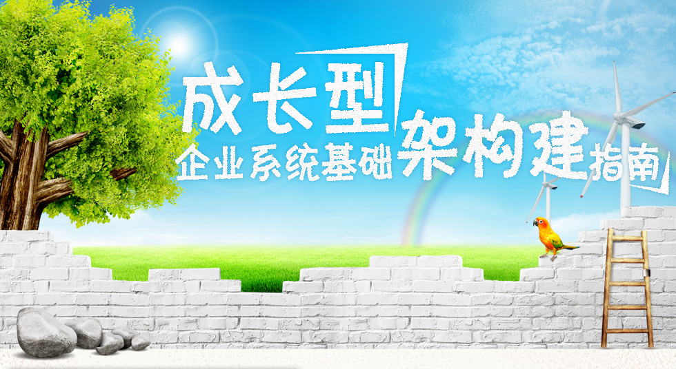 成长型企业it架构与升级之痛大吐槽!